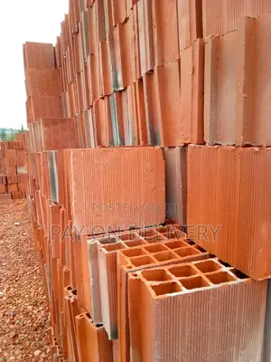 Clay Construction Blocks (Max Pans)