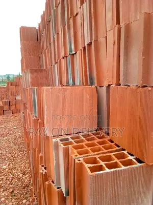 Clay Construction Blocks (Max Pans)