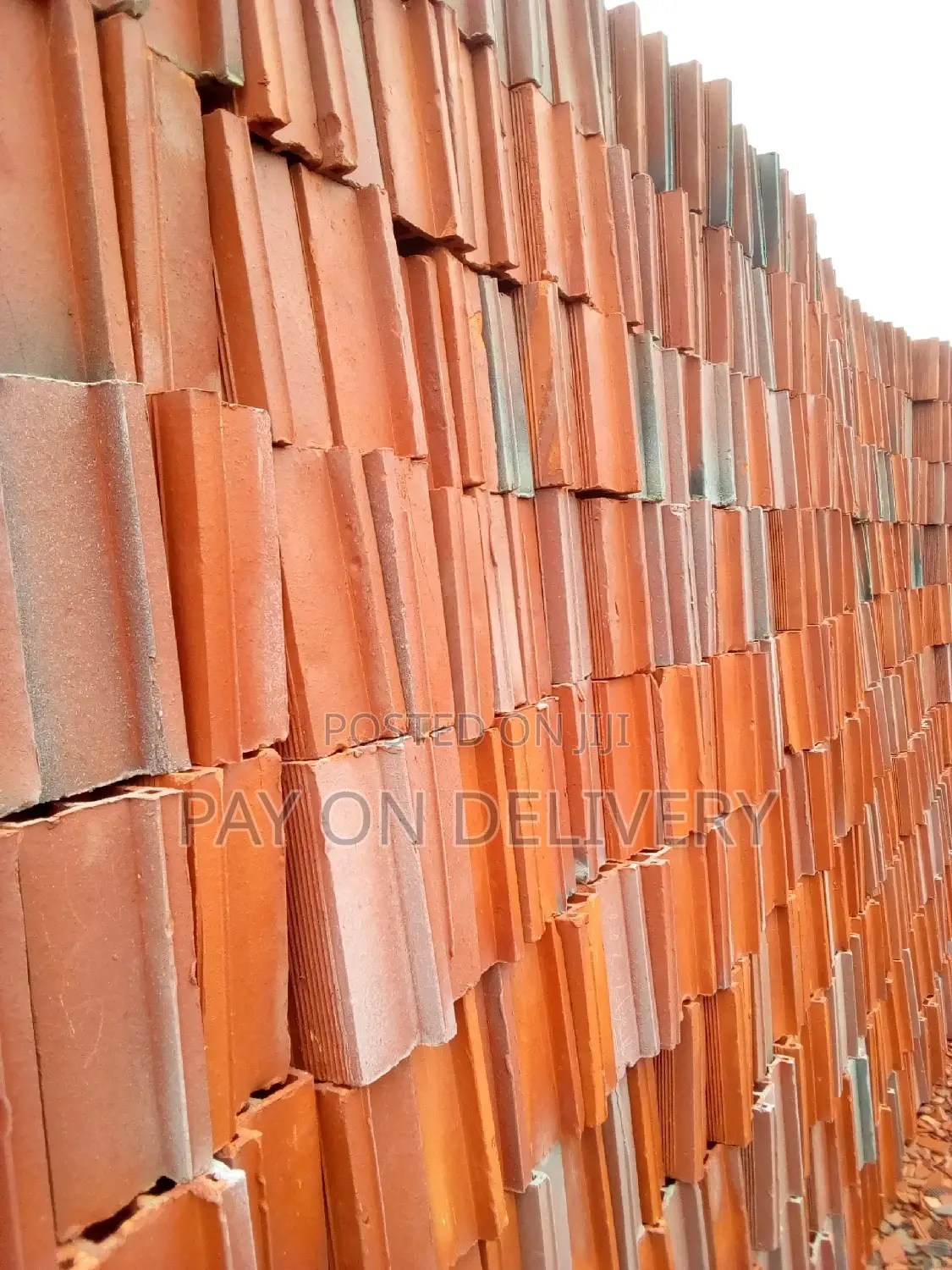 Clay Construction Blocks (Max Pans)