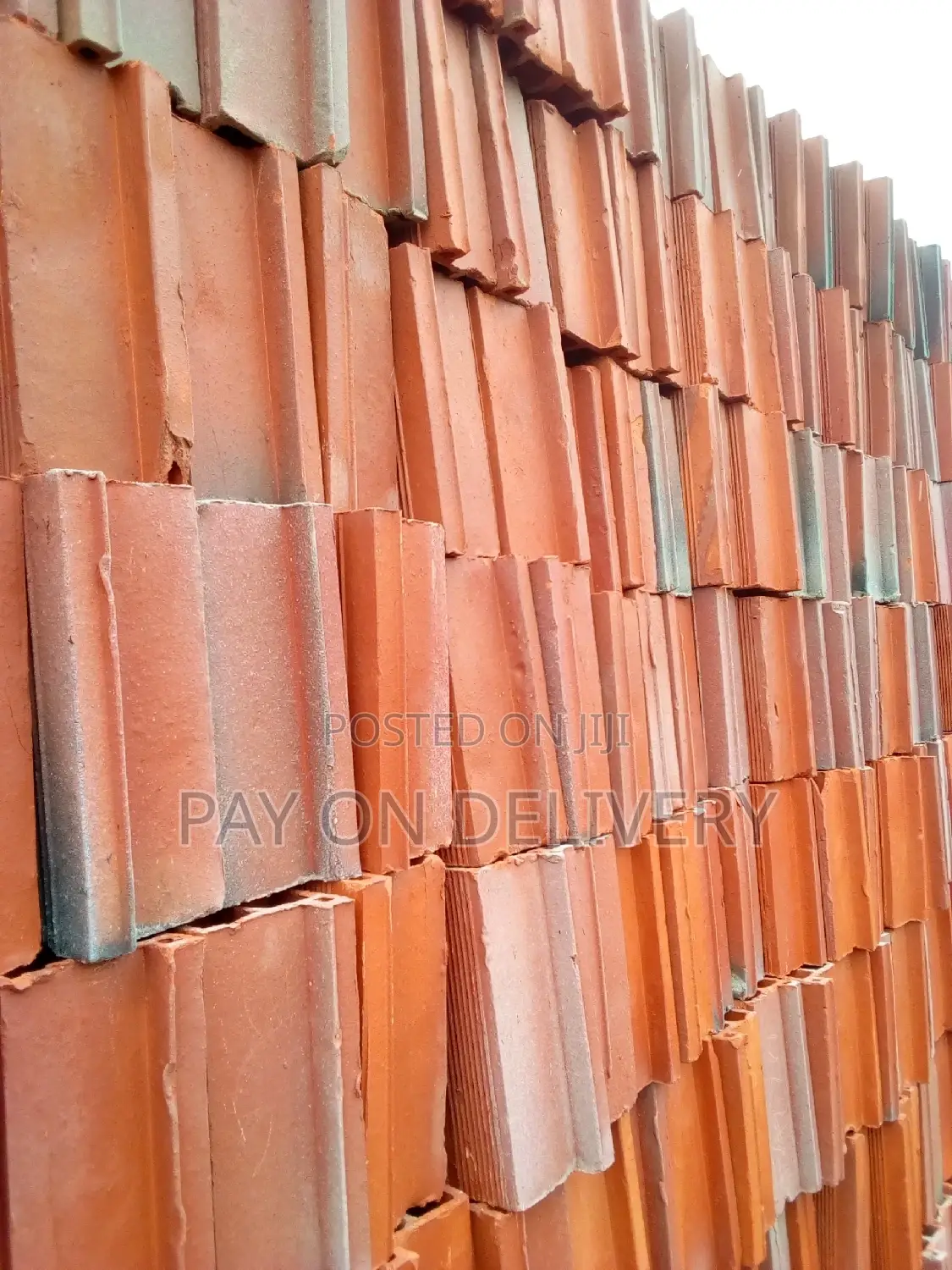 Clay Construction Blocks (Max Pans)