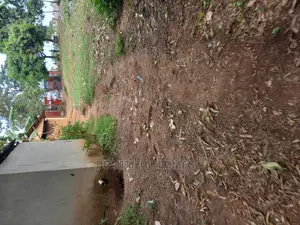 Kira Stunning Commercial Plot on Sell