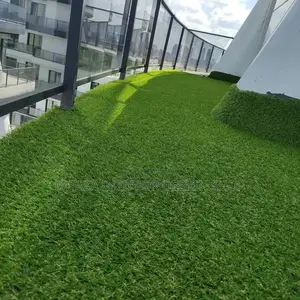 Grass Carpet Grass Carpet Grass Carpet Grass Carpet