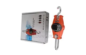 Electronic Mini Crane Weight Scales.