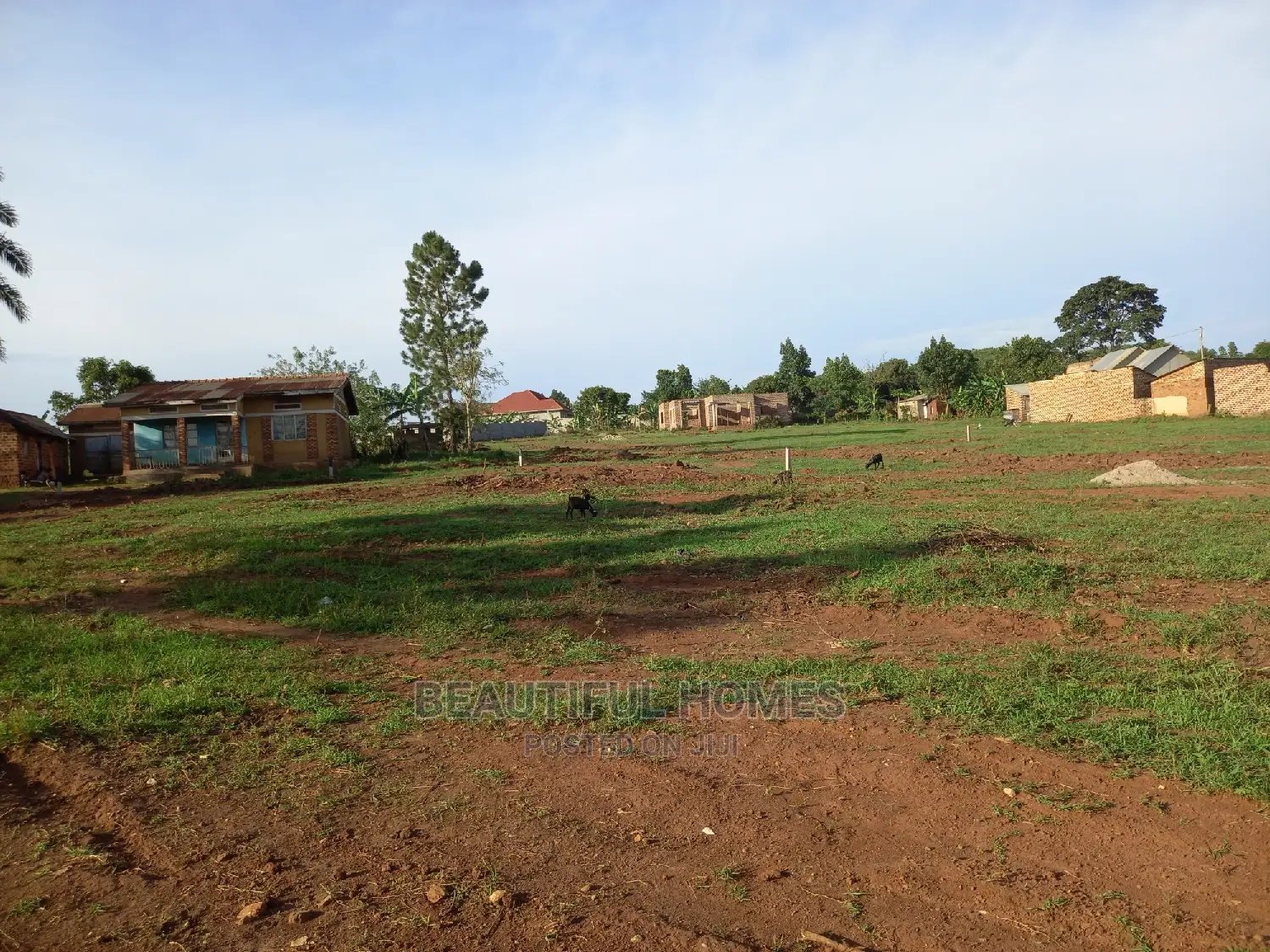 Nakwero Plot on Sell