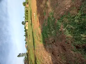 Land at Nakwero for Sell