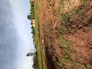 Nakwero Available Plots on Sell