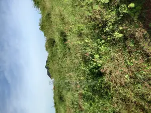 Nakasajja Two Plots on Sell