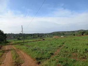 Nakwero Amazing Plot on Sell