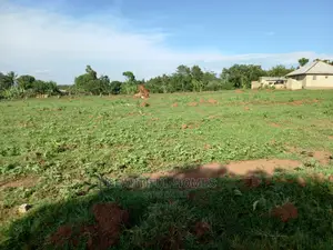 Nakwero With Ready Title Land on Sell