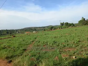 Land in Nakwero for Quicksell