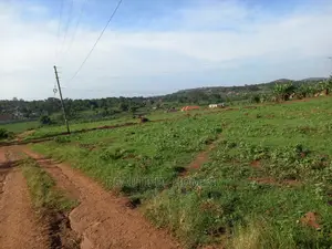 Nakwero Cut Plots on Sell