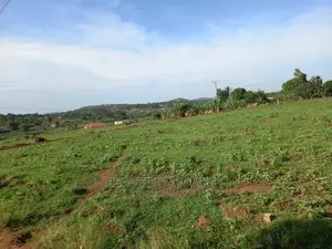 Prime Plot at Nakwero on Sell