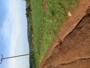 Nakwero 100 by 100 Posh Land on Sell