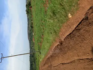 At Nakwero ,100 ×100 for Sell