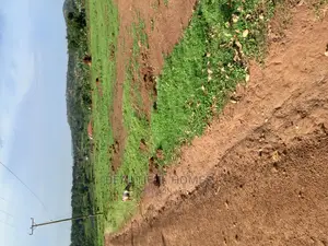 Nakwero 100#100 Land on Sell