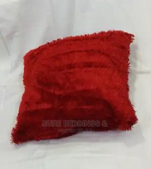 Stylish Cushions