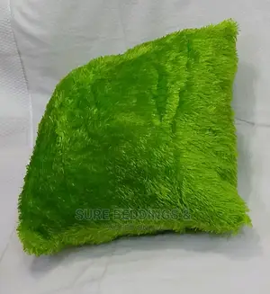 Stylish Cushions