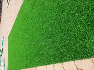 Grass Carpet (Artificial Grass)