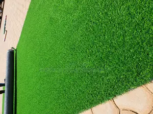Grass Carpet (Artificial Grass)