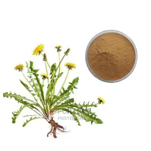 Dandelion Powder Half