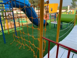 Grass Carpet (Artificial Grass)/Synthetic Grass