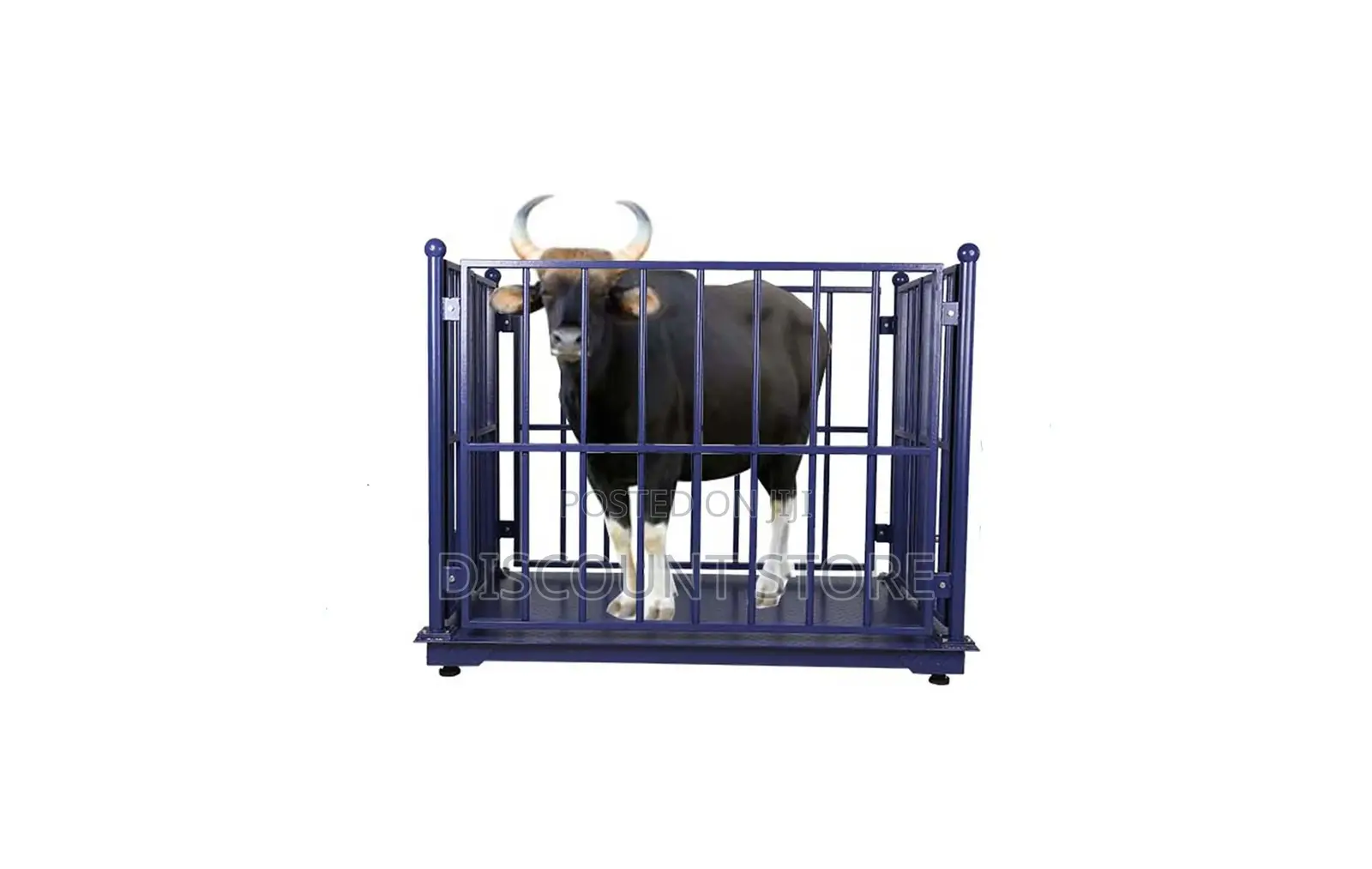Animals Electronic Weigh Systems