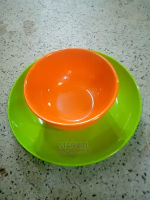 Melamine Plates and Bowls