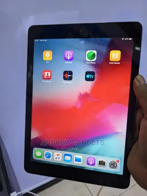 Apple iPad Air 16 GB Gray
