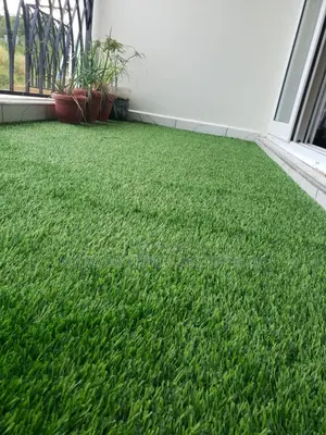 Grass Carpter(Artificial Turf)