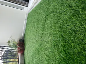 Grass Carpter(Artificial Turf)