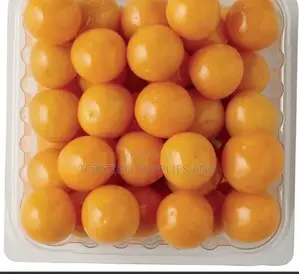 Cape Gooseberries