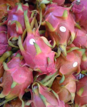 Dragon Fruit Price Per Piece