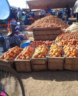 Yellow Tomatoea