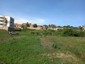 Kira Two Classy Plots for Sale