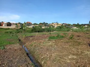 Kira Great Two Plots on Sale