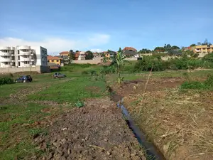 Kira Well Placed Two Plots on Sell