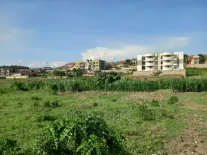 Kira Varied Two Plots on Sell