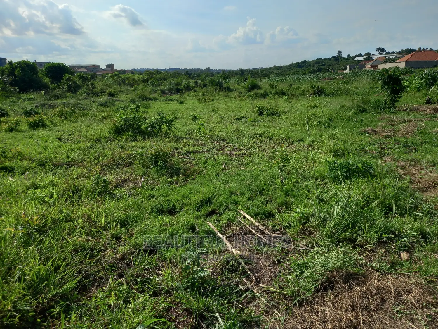 Plot in Kira on Sell