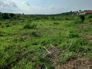 Plot in Kira on Sell
