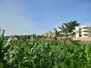 Kira,Purchase Land Affordably