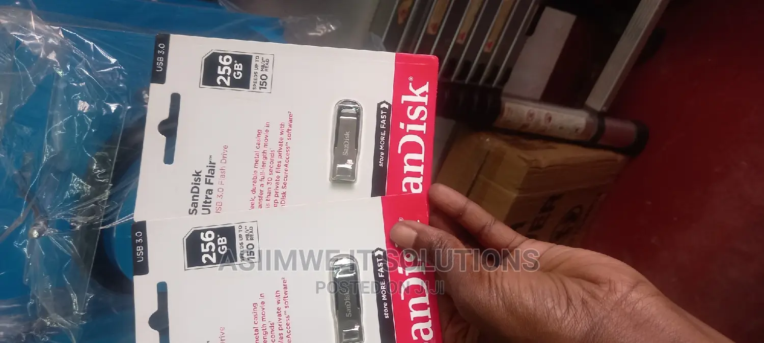 256gb Sandisk Flash Disk