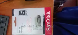 256gb Sandisk Flash Disk