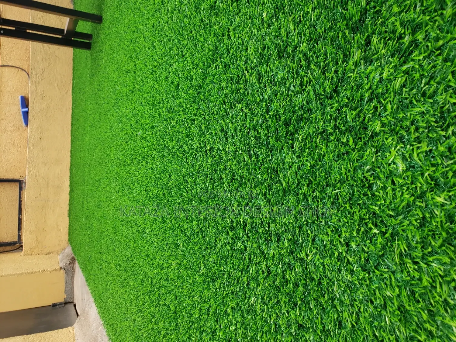 Grass Carpet Grass Carpet Grass Carpet Grass Carpet
