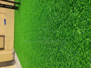 Grass Carpet Grass Carpet Grass Carpet Grass Carpet