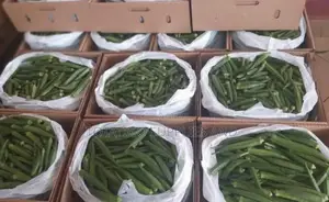 Ocra Fresh -1kg