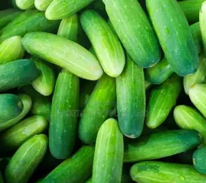 Cucumber-1kg