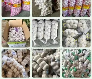 All Garlic Varieties