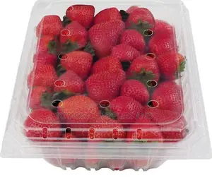 Full Parnet of Strawberries