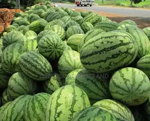Sweet Watermellons