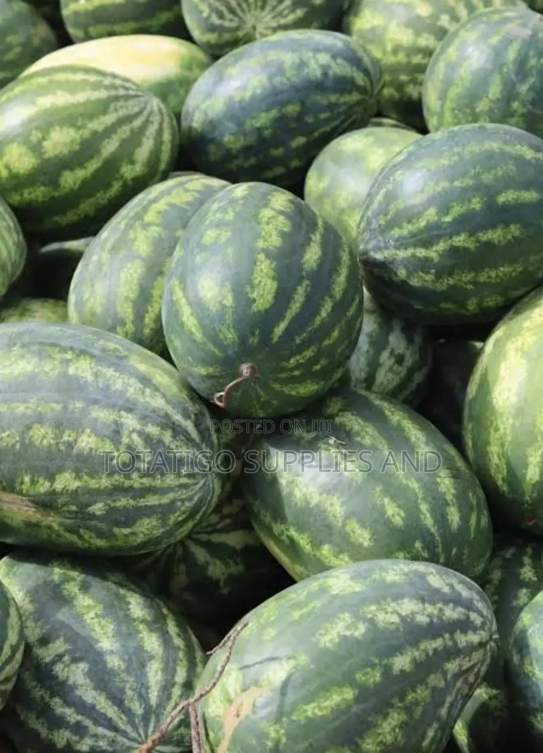 Green Colour Watermellon